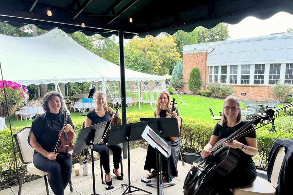 Pizzicatomus String Quartet