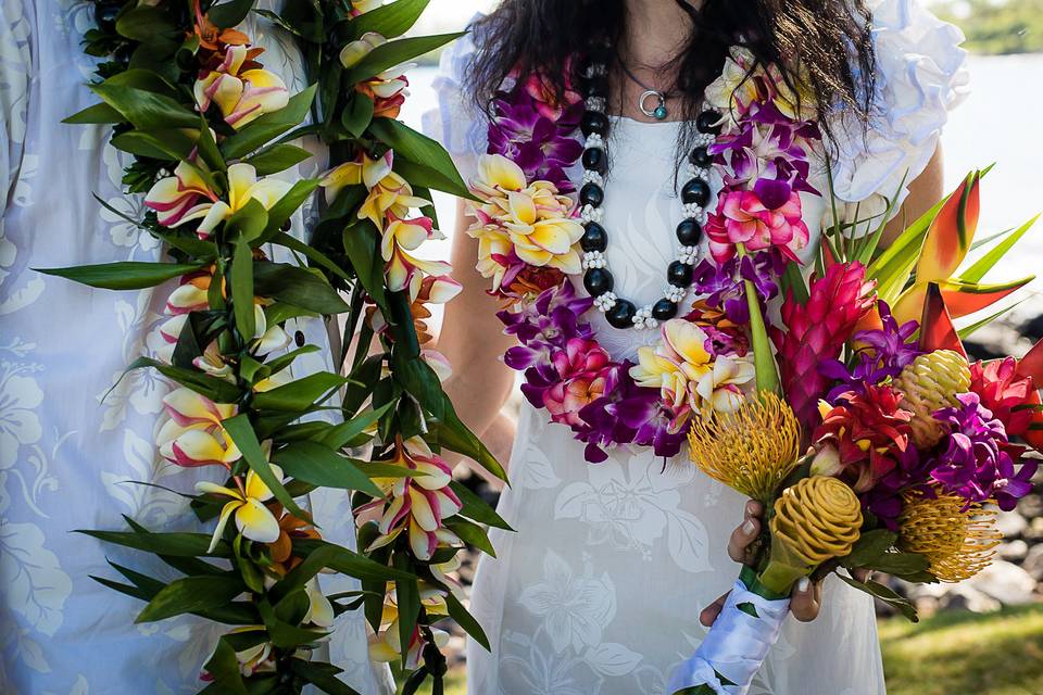 Tropical Flowers!