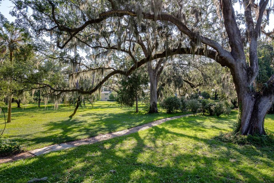 Front yard view