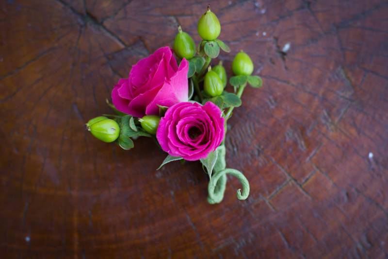 Teacup Floral