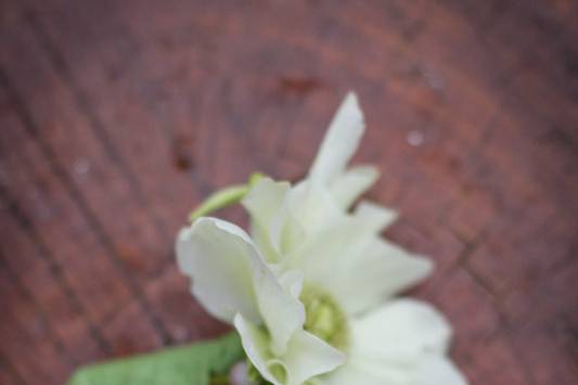 Teacup Floral