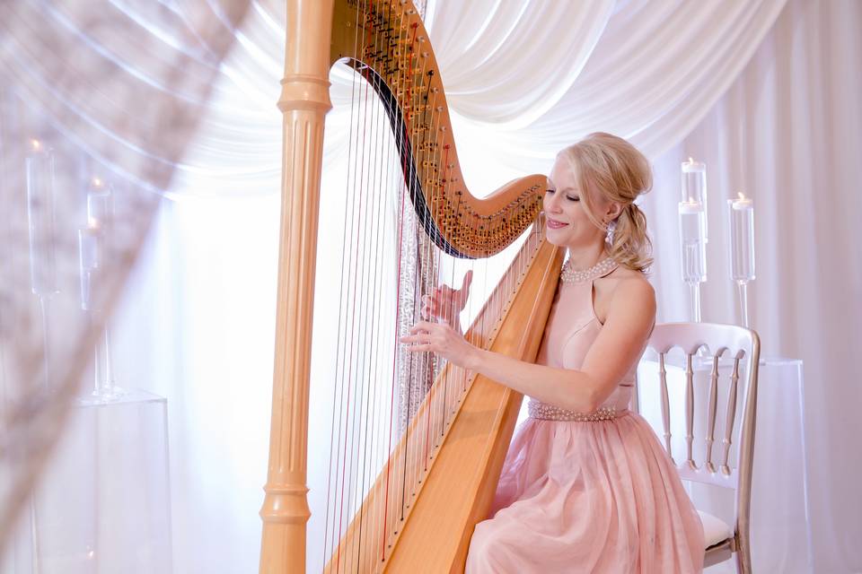 Harpist