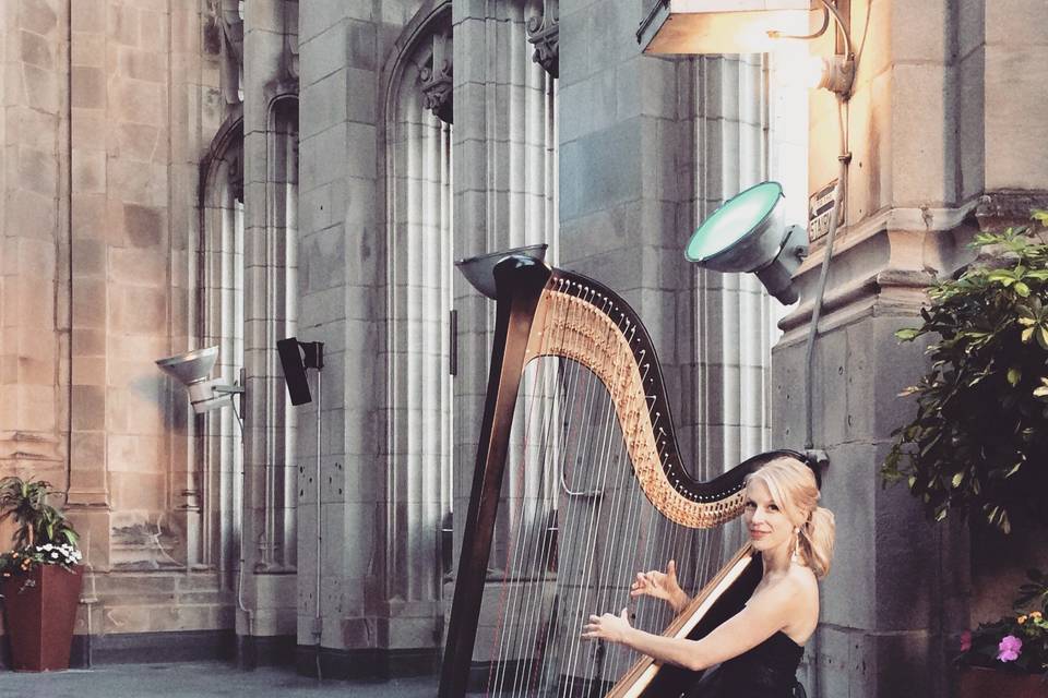 Playing the harp