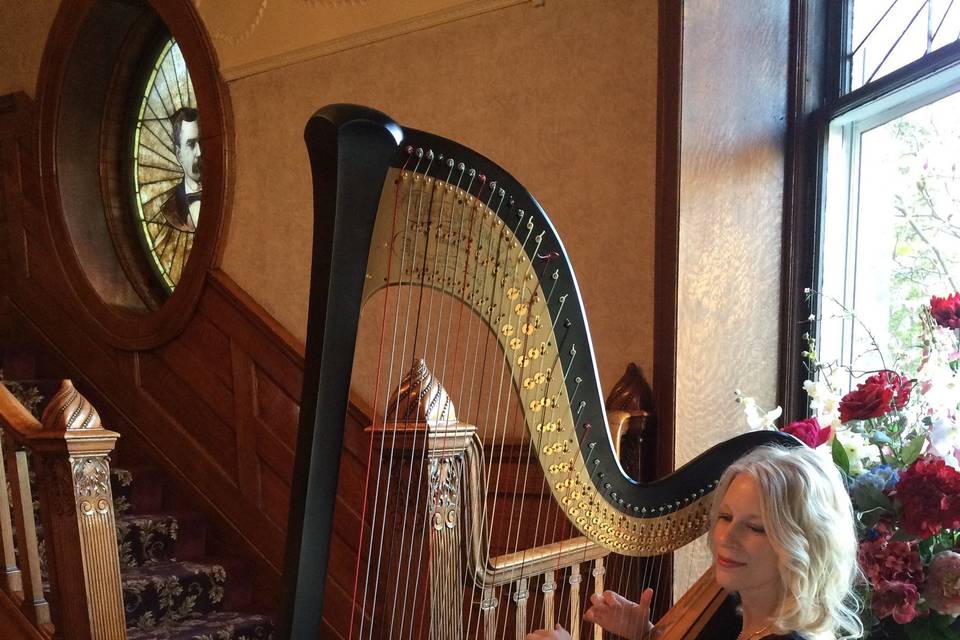 Wedding harpist