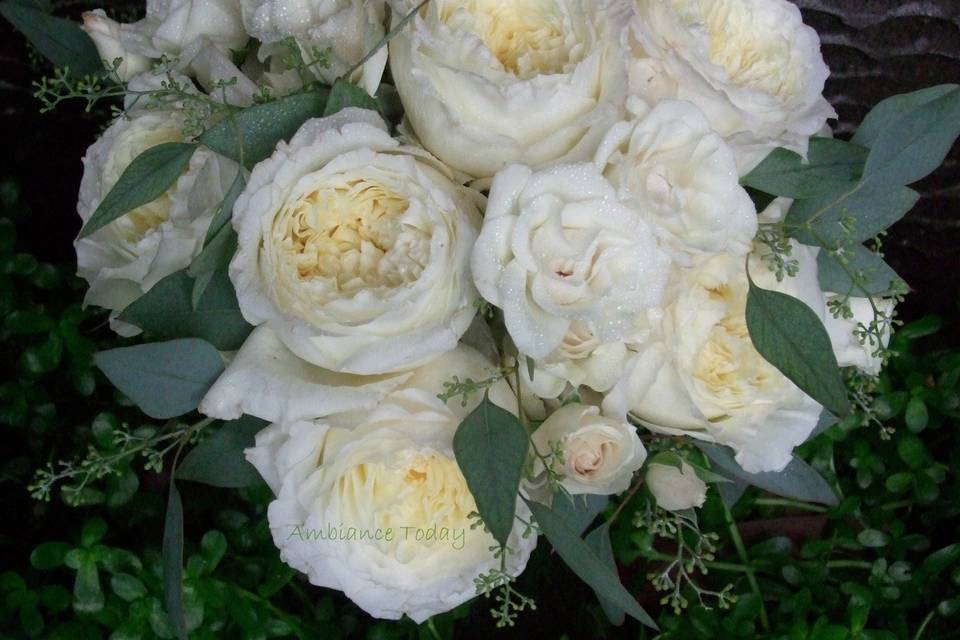 This is was an all white, round bridal bouquet of garden roses, spray roses and eucalyptus foliage.