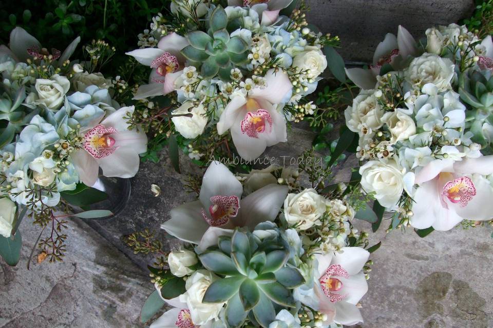 The #bridesmaids' bouquets were comprised of white #cymbidium orchids, light blue #hydrangea, #roses, #wax flower and #eucayptus foliage.  The #succulents were grown by the bride's mother and were incorporated into the bouquets.