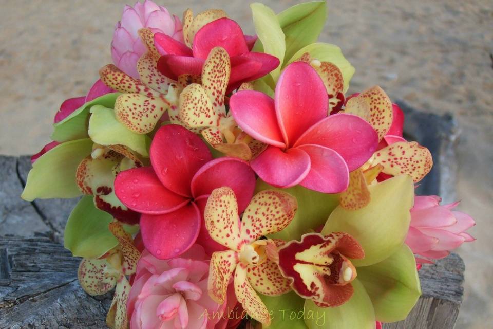 A tropical bouquet made of plumeria, cymbidium and mokara orchids, and pink ginger.