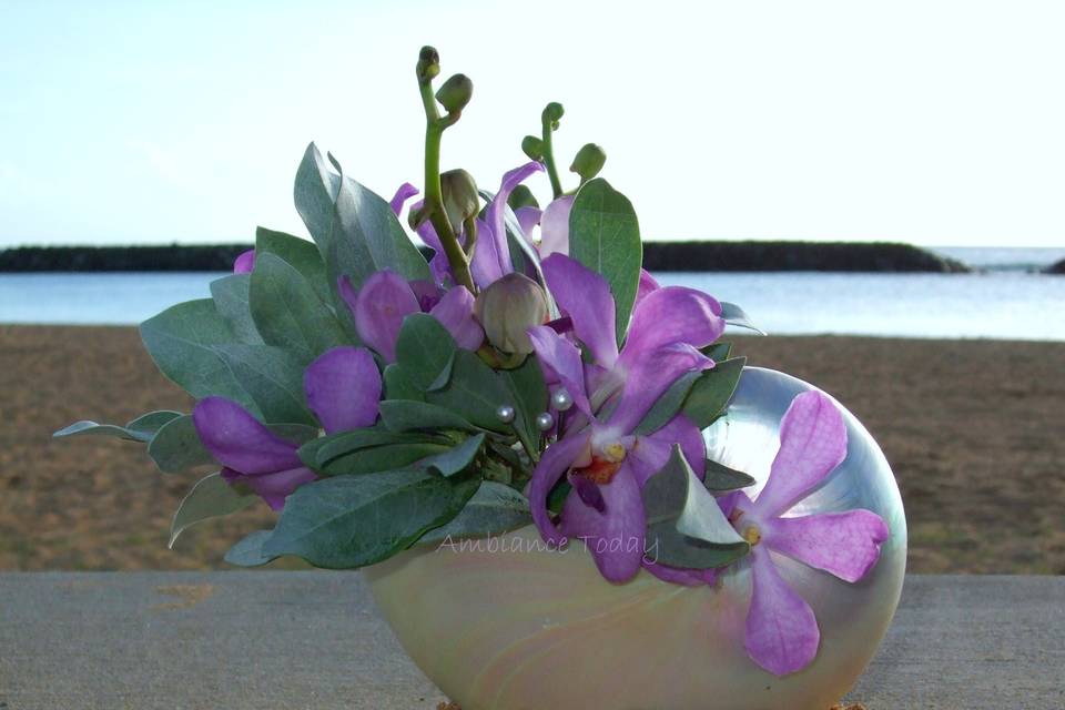 A pearly nautilus shell container is filled with Aranda orchids and buttonwood foliage to make a contemporary, casual bouquet for a bride or bridesmaid.