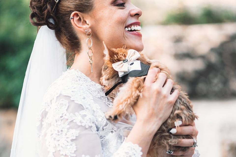 Puppy Love at Wedding Pet