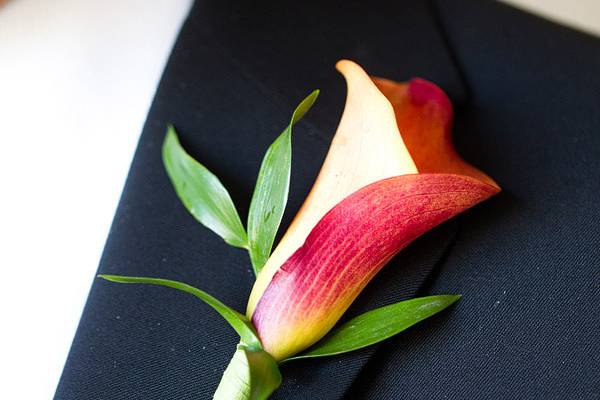 Boutonniere - Mini Calla Lily