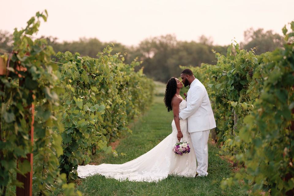 Love in the vines