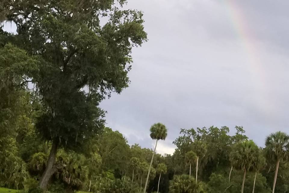 Rainbow