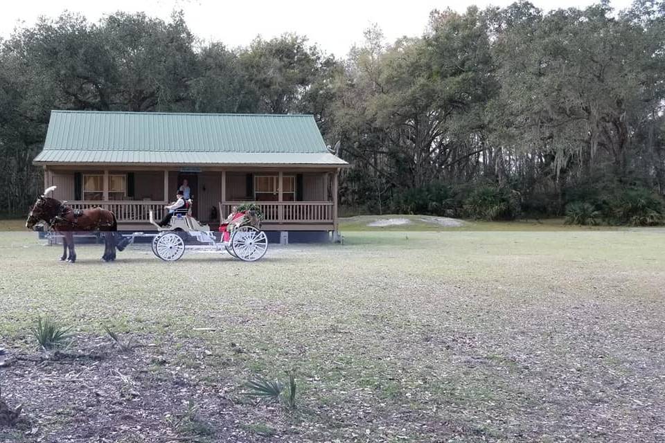 Horse and carriage ride