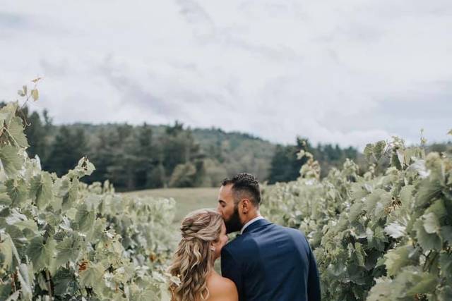 Walking through a field