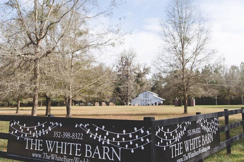 The White Barn Wedding