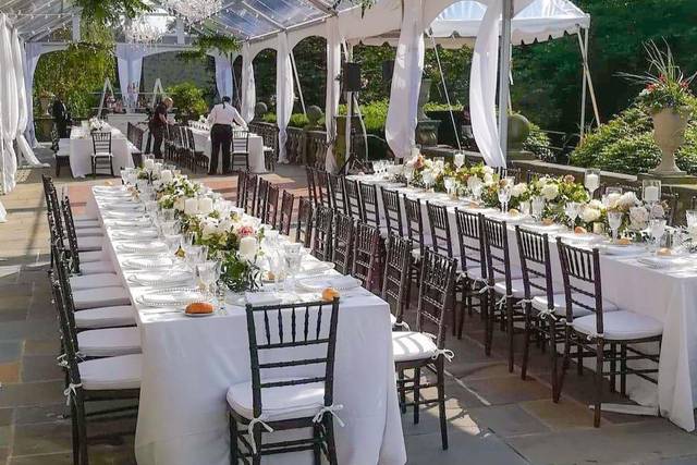 Beautiful reception