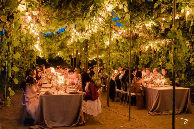 Grape Arbor Dining