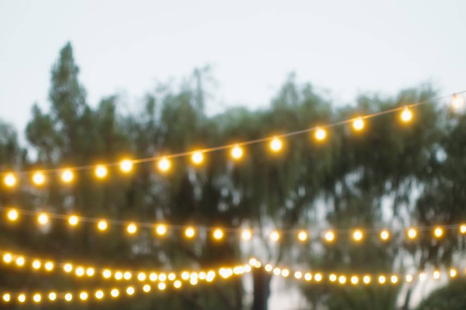 Candle Light