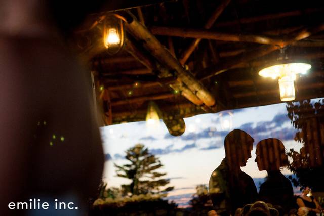 Whitney J. Fox Photography