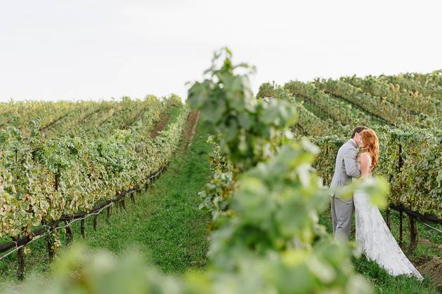 Napa Valley Wedding