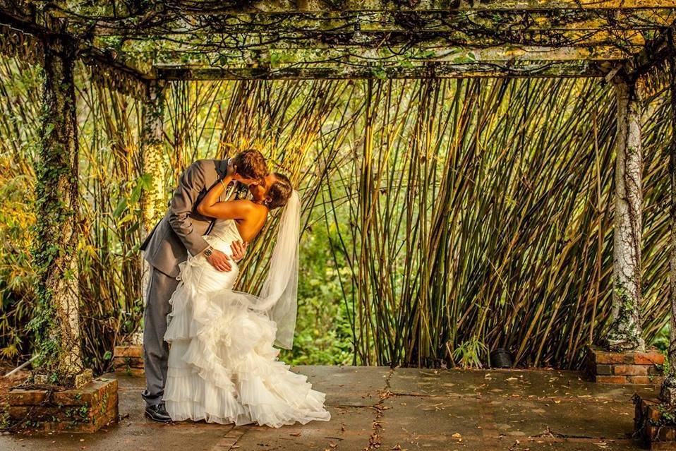 Bride and groom caught in intimate embrace under the bamboo trellis.