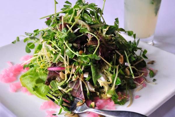 Leaf's Sprout Salad with butter lettuce, pea shoots, mixed sprouts, sunflower & pumpkin seeds, pickled red onion & radish, sherry vinaigrette