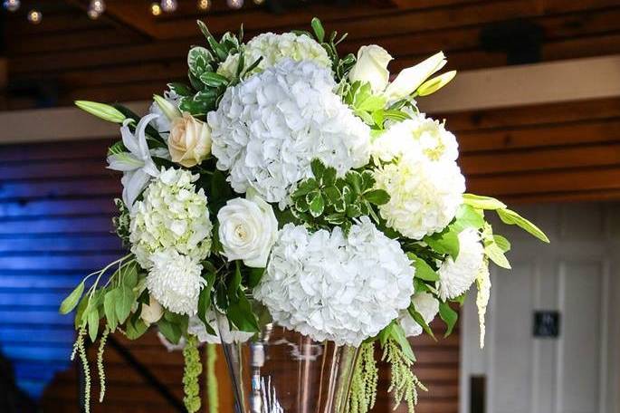 Kissimmee Florist