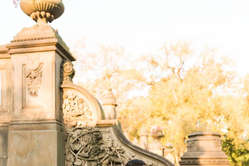 Central Park Engagement