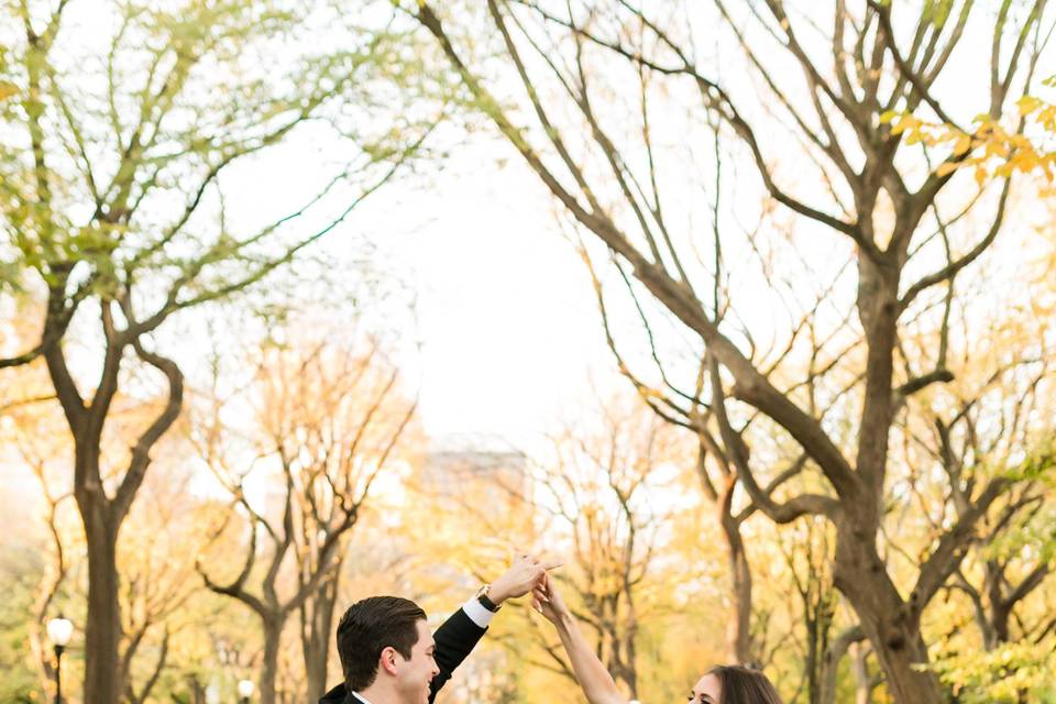 Central Park Engagement