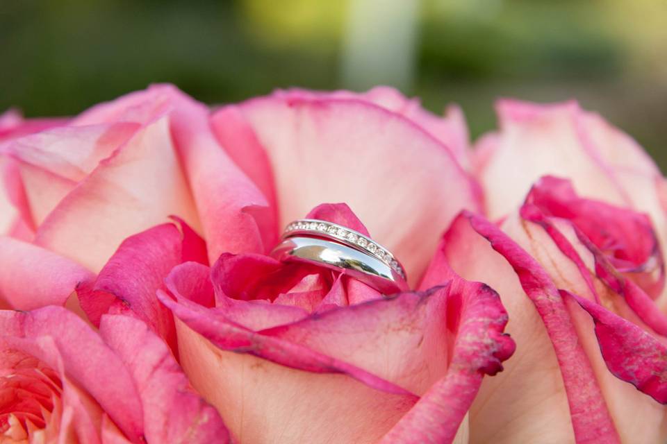Snapdragon Photography, LLC