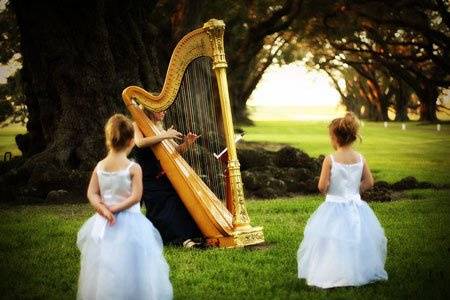 Ashley Toman- Harpist