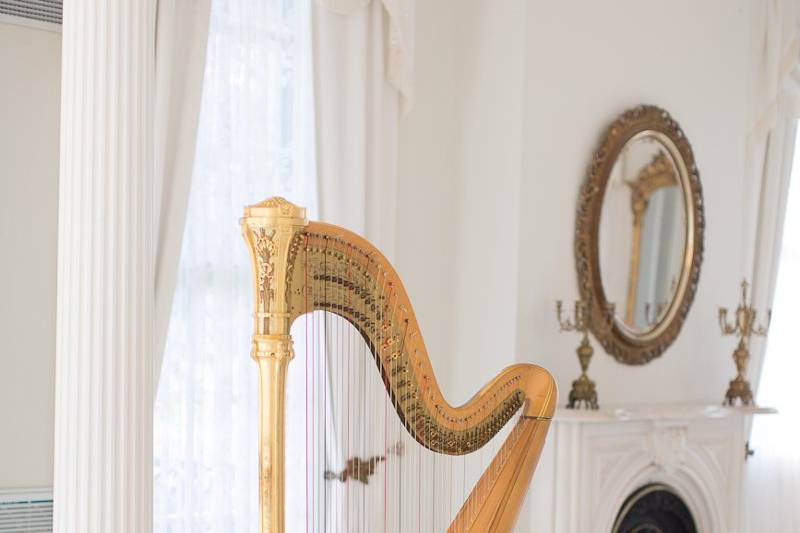 Ashley Toman- Harpist