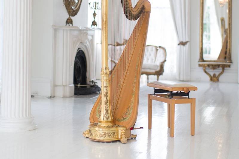 Ashley Toman- Harpist