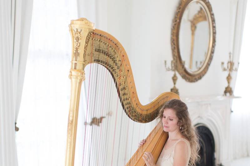 Ashley Toman- Harpist