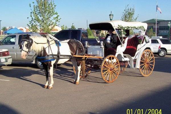HEARTS & TAILS CARRIAGE CO.