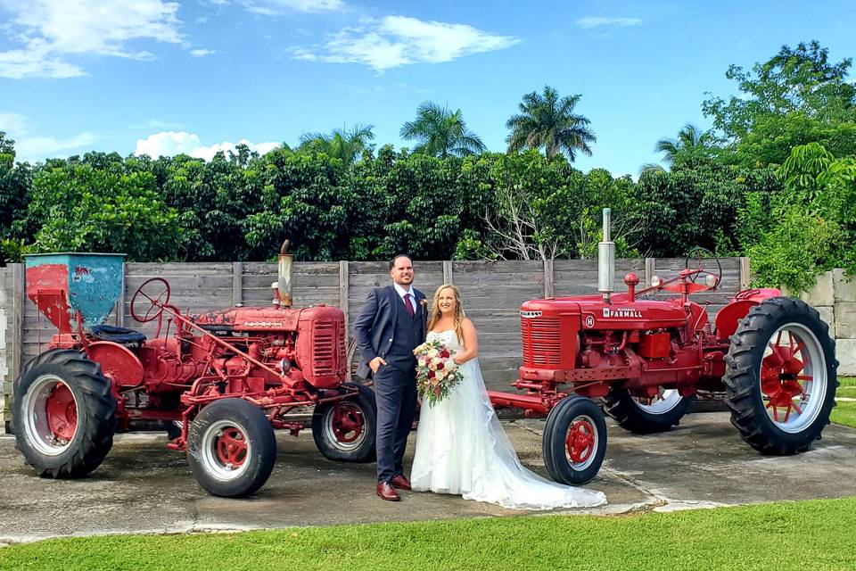 Antique Red tractors
