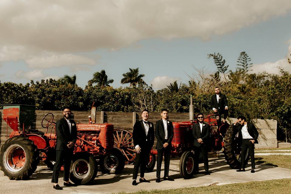 Antique Red Tractors