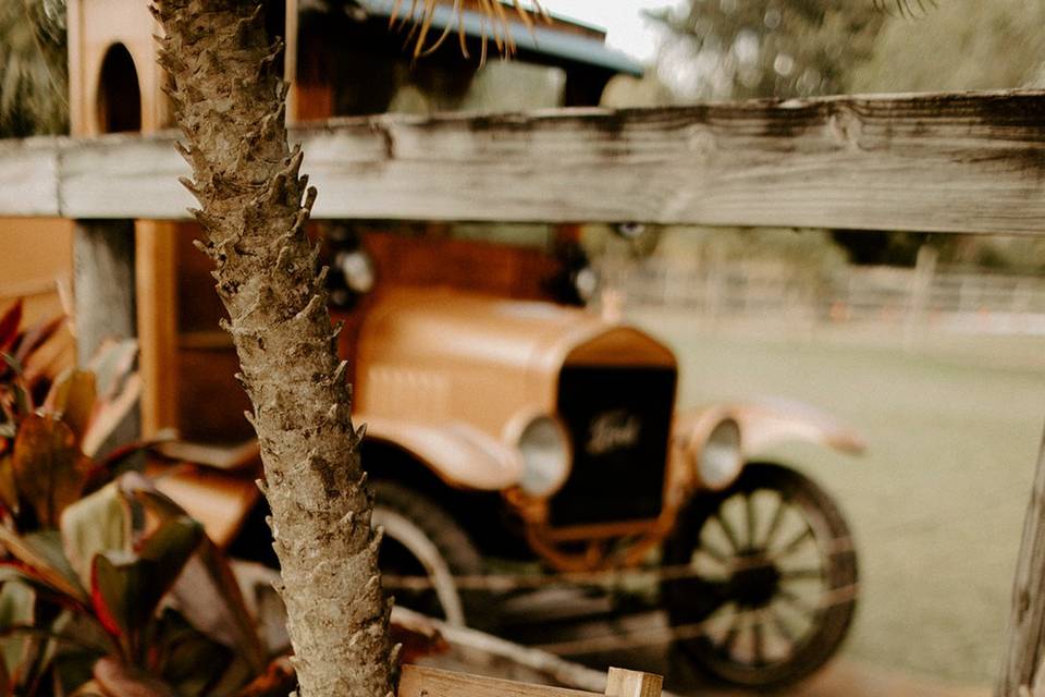 Rustic signs throughout