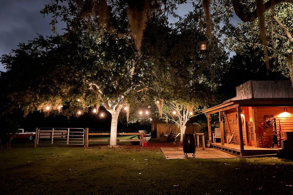 Enchanting Oak Tree & Saloon