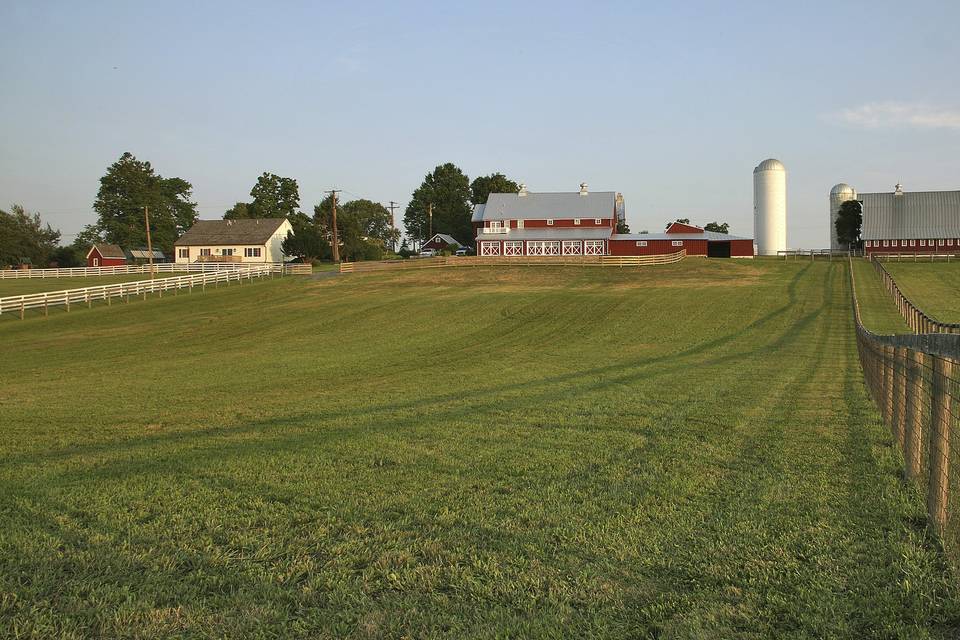 Venue grounds