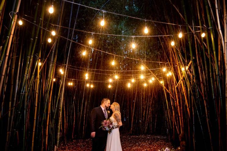 Magic under the lights