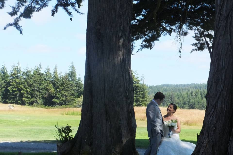 Cypress Trees photo spot