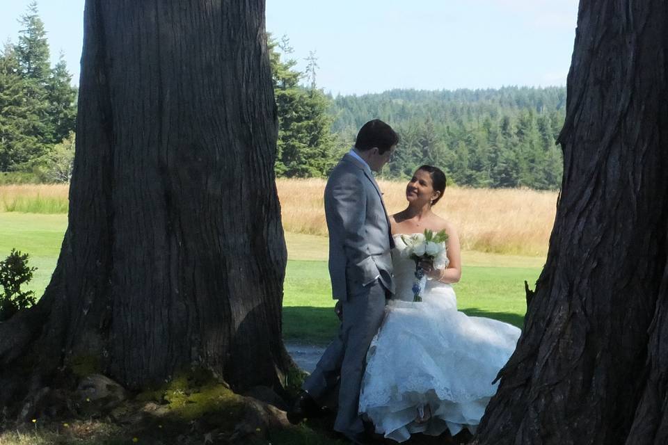By the Cypress trees