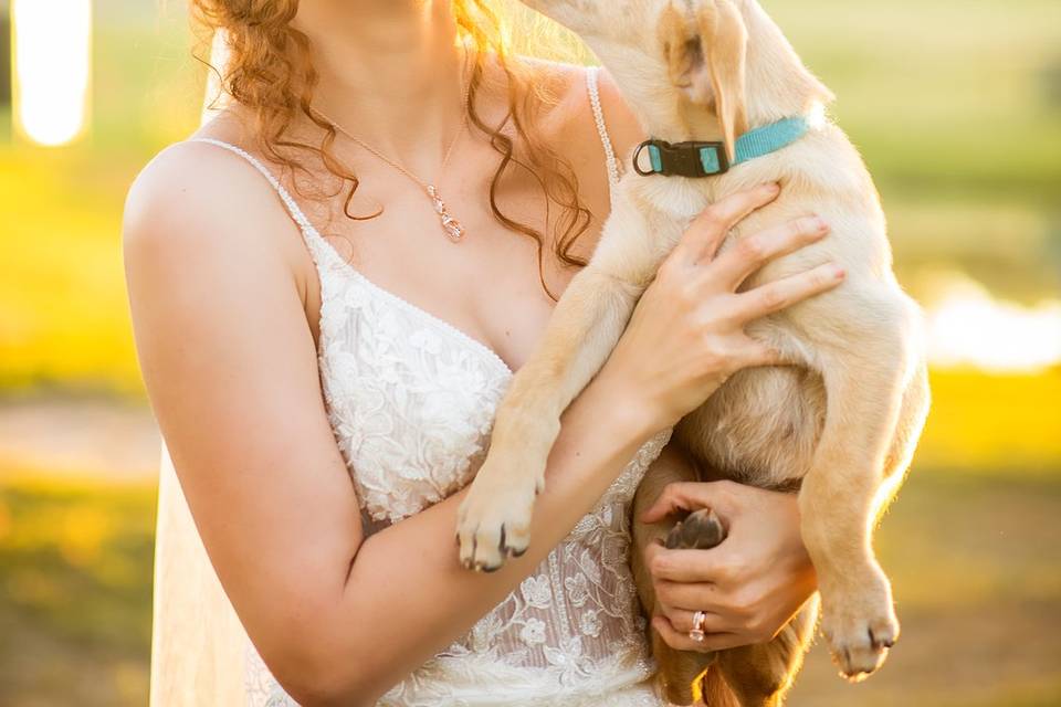 Bride with Dog