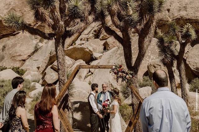 Hexagon in Joshua Tree