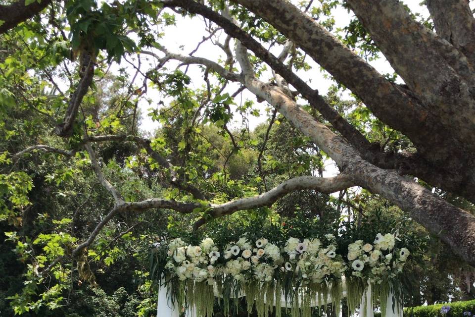 Chuppah With Drapes