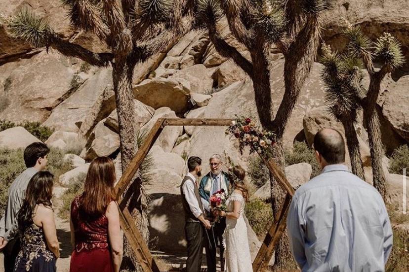 Hexagon in Joshua Tree