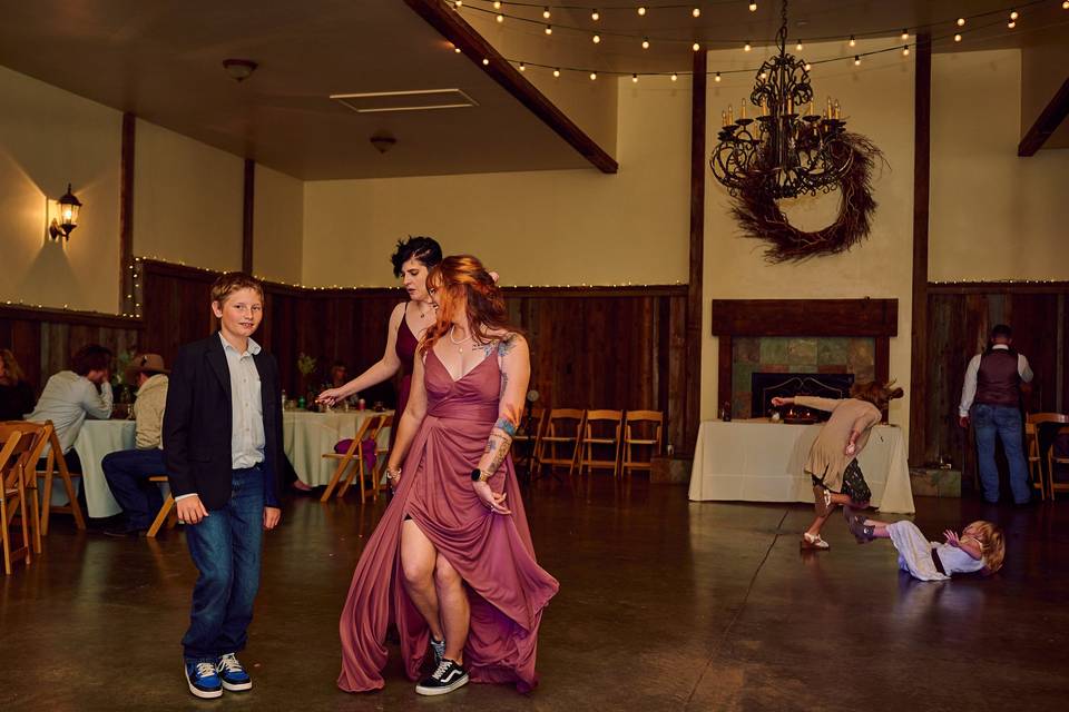 Wedding Reception and Dancing
