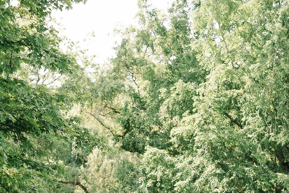 White and greenery ceremony
