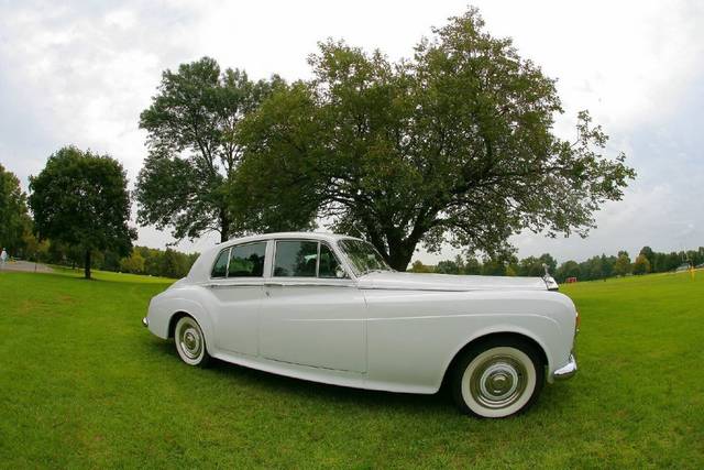 Mint Life Limousine